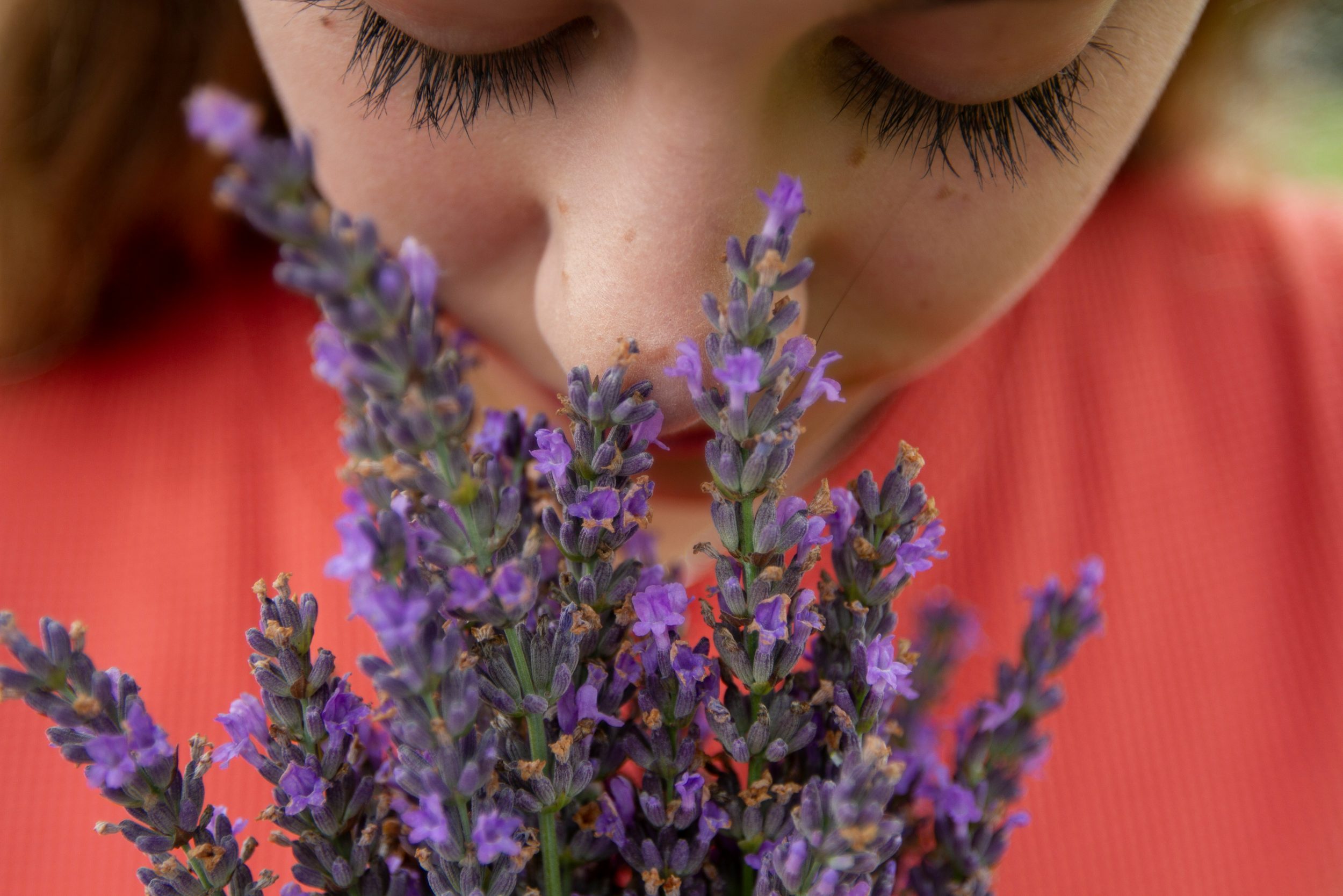 The Psychology of Smell