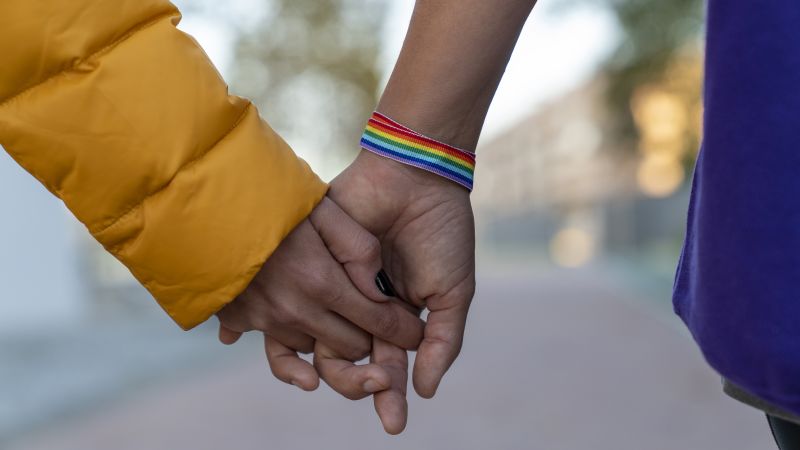 Protecting LGBTQ+ Mental Health: Surveying the Challenges and Promoting Well-Being