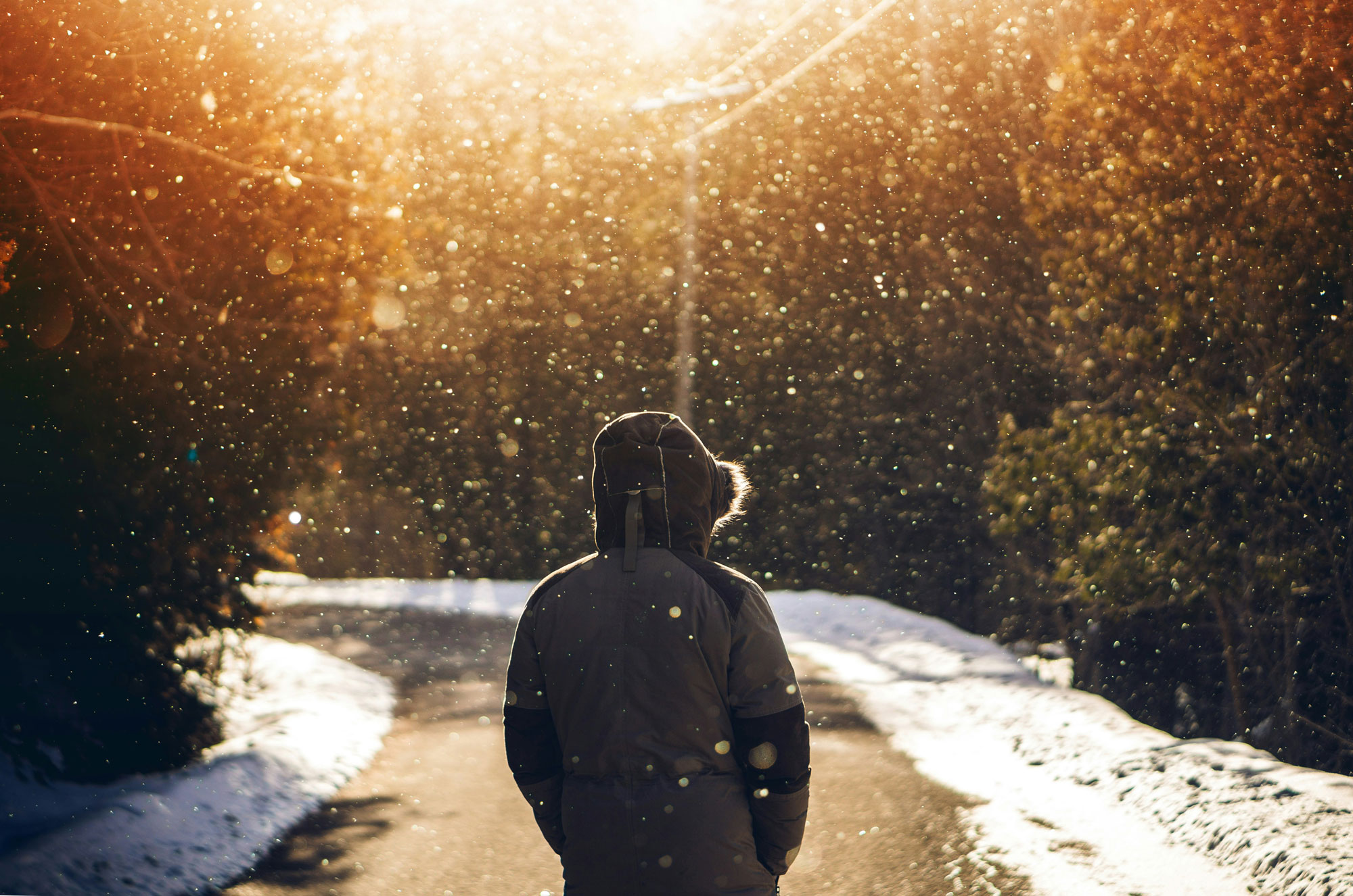 Seasonal Affective Disorder: Causes and Treatment Options